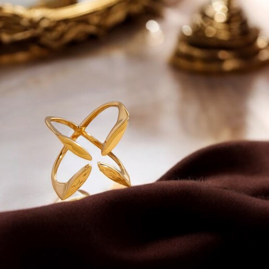 Anello Cartesio - Metafisica