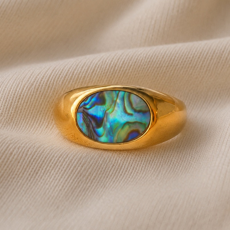 Chevalier Abalone - ellissi