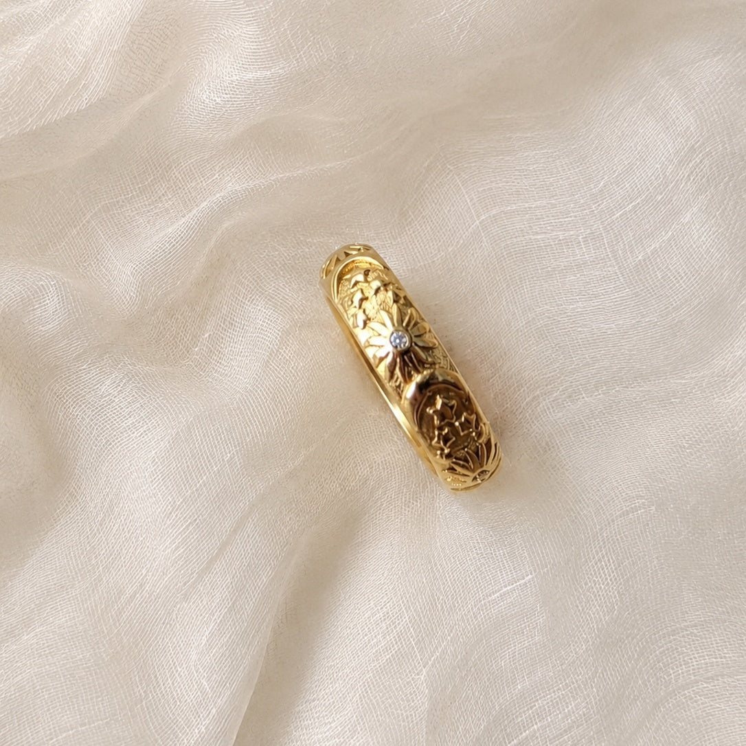 ANELLO TEMPVUS FVGIT
