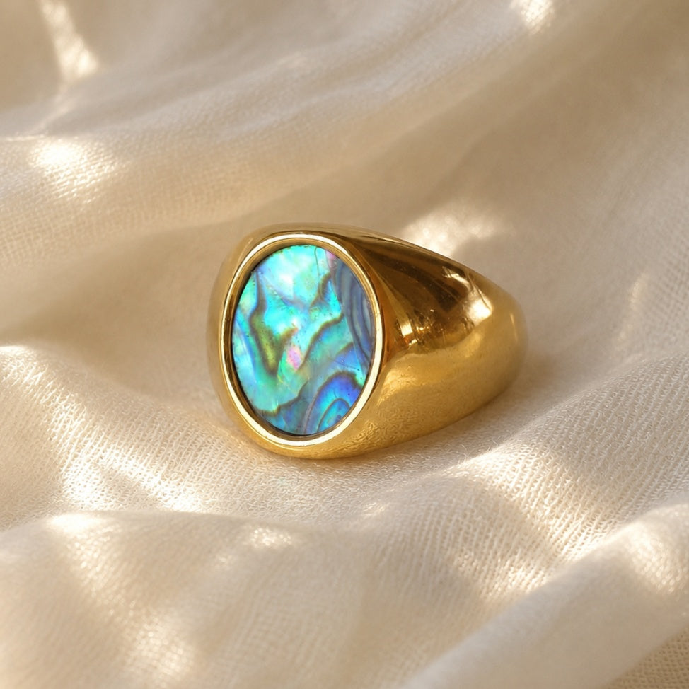 Chevalier Abalone - ovale
