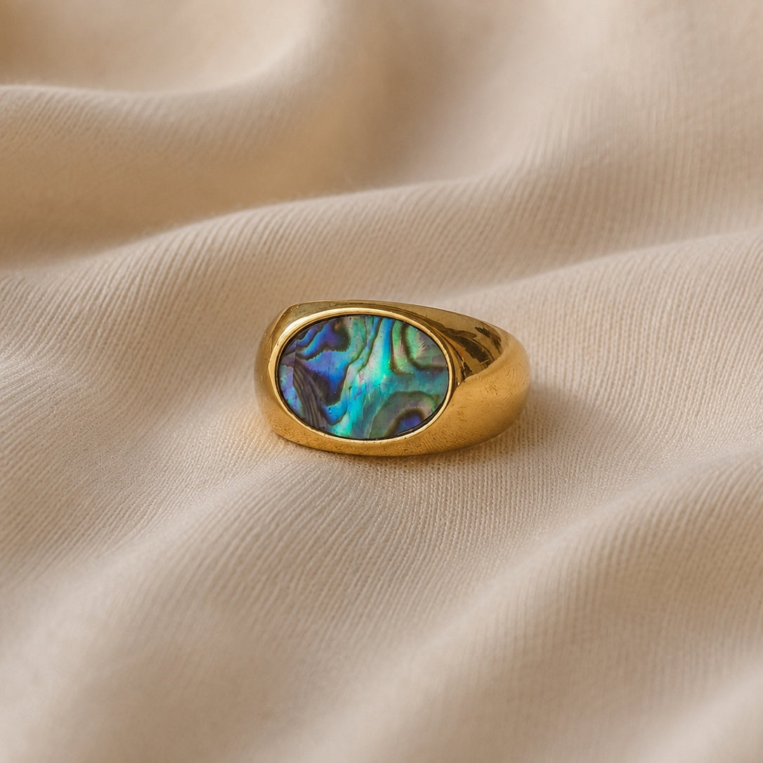 Chevalier Abalone - ellissi